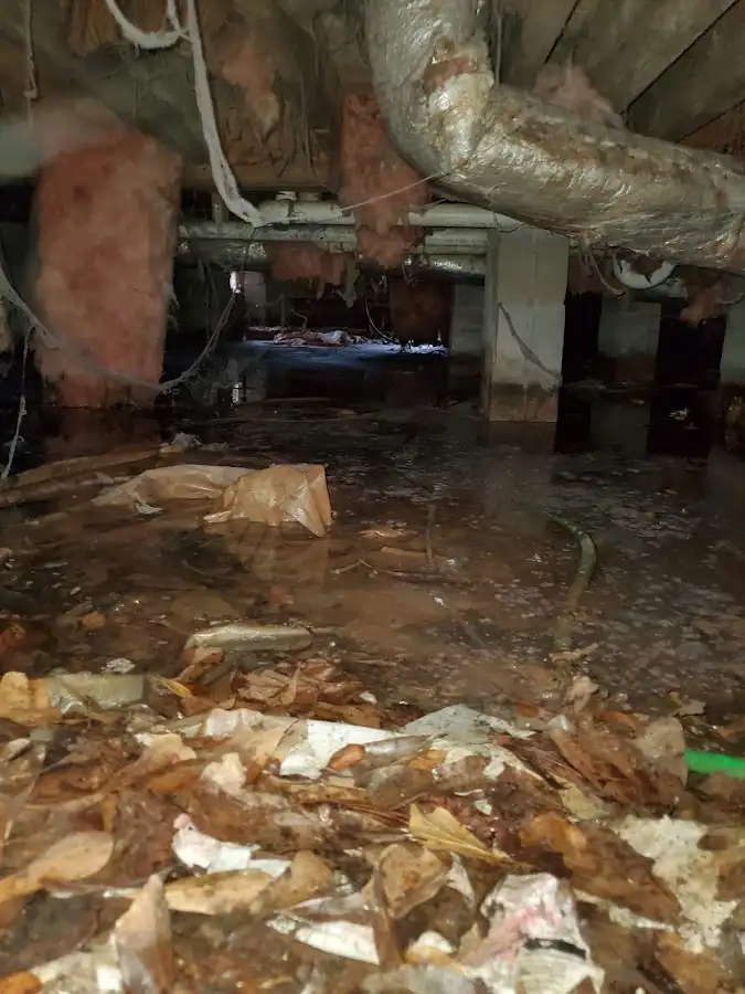 Crawl space flood assessment for Leak Detection & Repair in Coraopolis